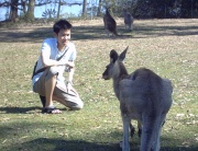 During mid october (I think) Alby and I went with Kista to the koala sancturary, because she'd never seen them before. This is my favourite picture I took - but we got much closer of couse.  Krista practically slept with one of these Kangaroos - but that's another story.  ;)