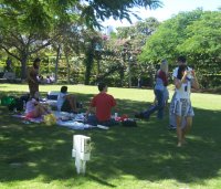 Uqdance summer picnic at Southbank