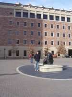 Univeristy of Colorado - and their "animal" the colorado bull