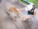  Debbie and kangaroo