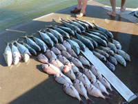 Final catch