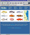 Fishing Cairns